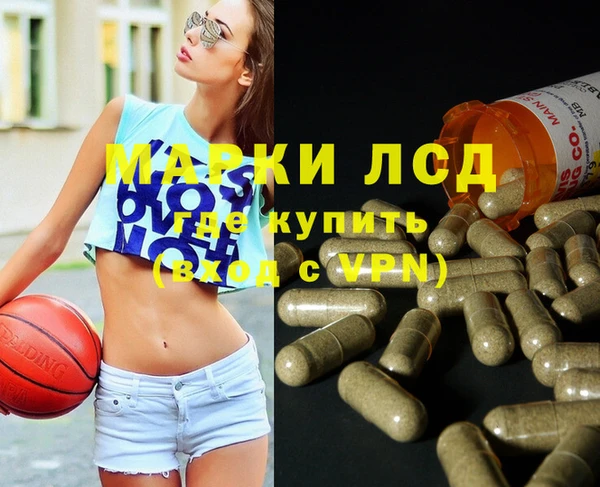 сатива Абинск