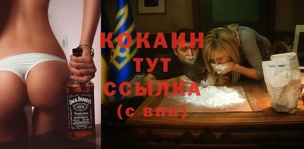 сатива Абинск