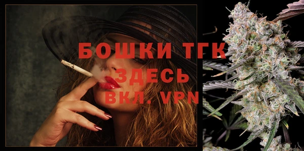 сатива Абинск