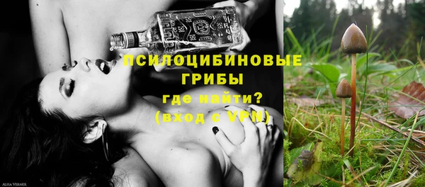 сатива Абинск