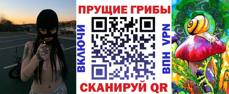 Псилоцибиновые грибы Psilocybine cubensis mega онион Раменское