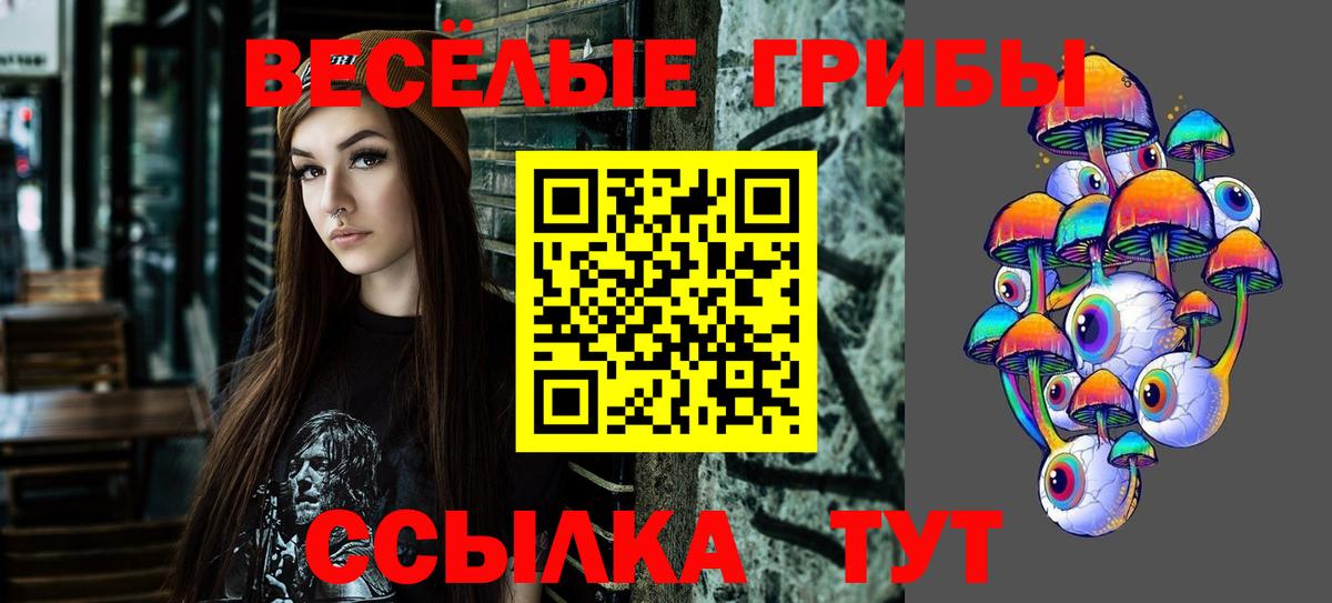 Раменское  Псилоцибиновые грибы Cubensis  Псилоцибиновые грибы Magic Shrooms  Вход с VPN 