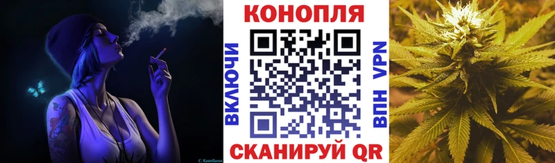 Бошки Шишки VHQ  где можно купить   Раменское 